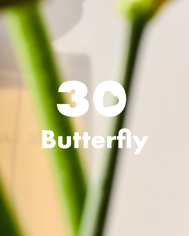 Butterfly by Hanae Mori: Celebrating 30 Years of an Iconic Fragrance